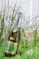 Champagne Nicolas Feuillate : offre d'été.