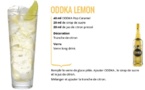 Recette Cocktail ODDKA Lemon