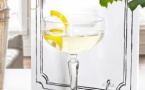 Recette Cocktail G'vine Martini