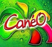 CanéO: première boisson bionaturelle