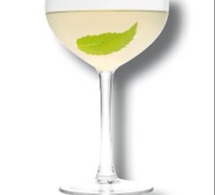 Cocktail Mint Martini par Trois Rivières