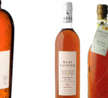 Les cognacs Rémi Landier en dégustation chez LMDW Fine Spirits