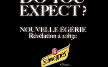 Qui sera la nouvelle égérie 2011 de Schweppes ?